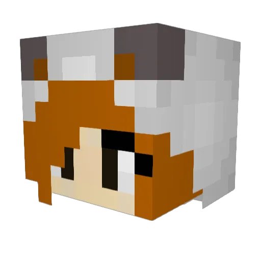 Unicorn_Star_ Minecraft avatar head, 3D render