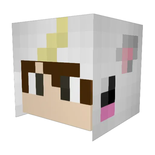 Unicornboy840 Minecraft avatar head, 3D render