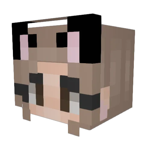 Unicornicat Minecraft avatar head, 3D render