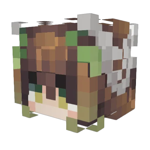 Unicornlove4431 Minecraft avatar head, 3D render