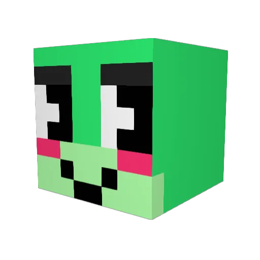 Unicornlover_15 Minecraft avatar head, 3D render
