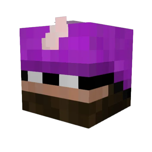 Unicornmann2007 Minecraft avatar head, 3D render