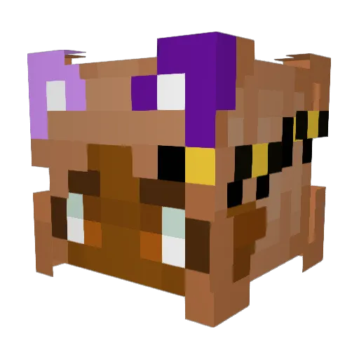 Unicornplayer999 Minecraft avatar head, 3D render