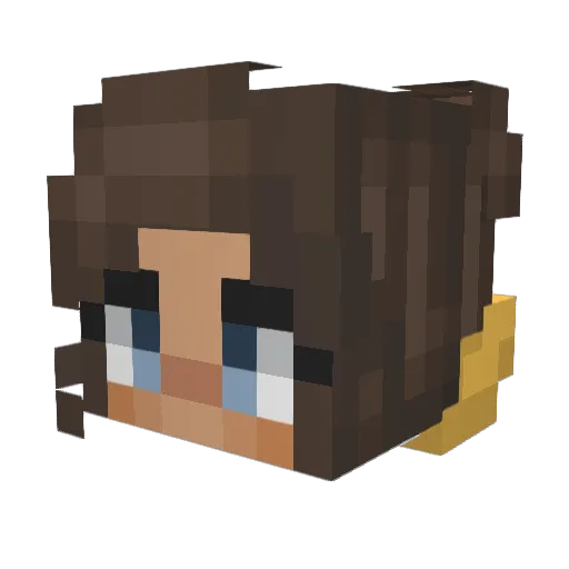 Unicornsocks24 Minecraft avatar head, 3D render