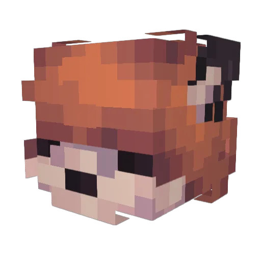 Unifores Minecraft avatar head, 3D render