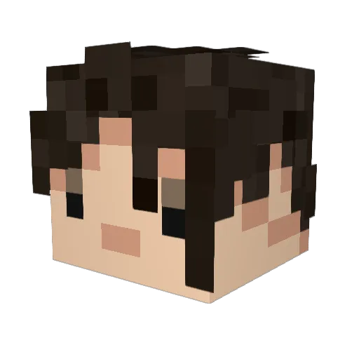 Union8_3347 Minecraft avatar head, 3D render