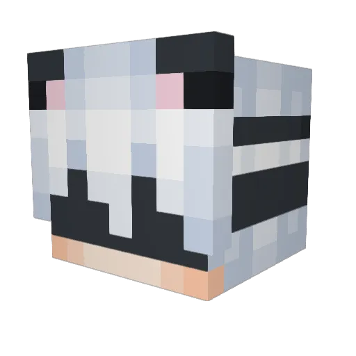 UniqueKiwii Minecraft avatar head, 3D render