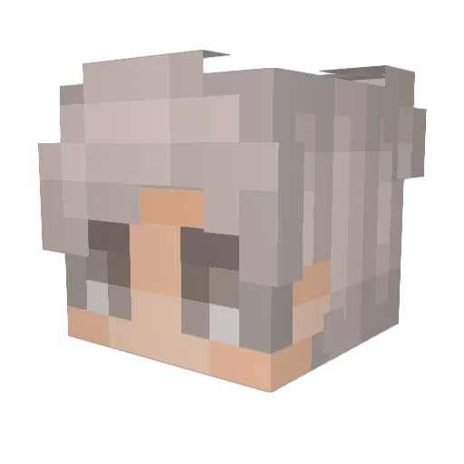 UniqueTrout Minecraft avatar head, 3D render
