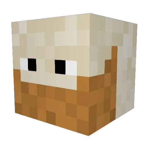 Uniquename_Wolfi Minecraft avatar head, 3D render