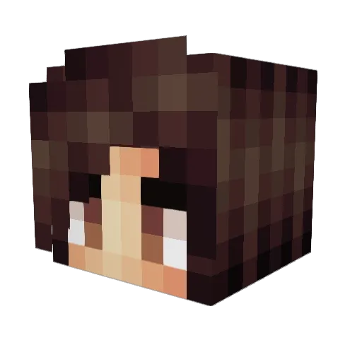 Unisasquatch Minecraft avatar head, 3D render