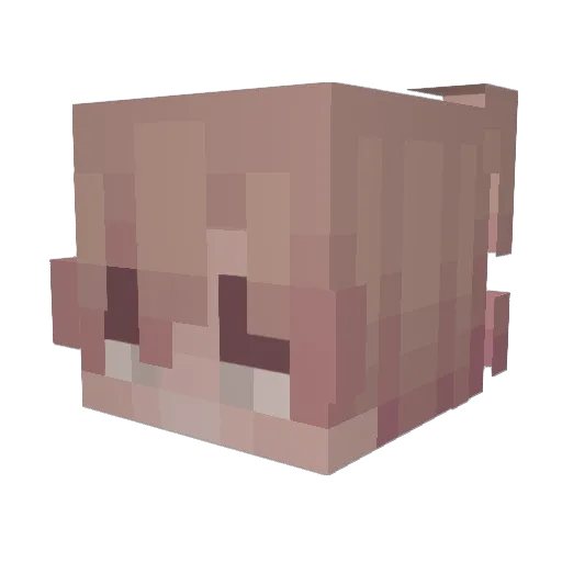 UnitNorth Minecraft avatar head, 3D render