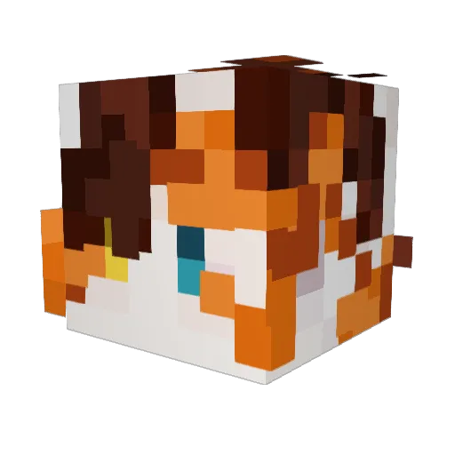 UnitZerp Minecraft avatar head, 3D render