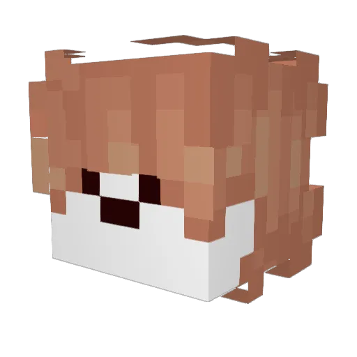 United_Soups Minecraft avatar head, 3D render