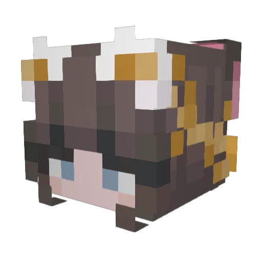 UniversC4t Minecraft avatar head, 3D render