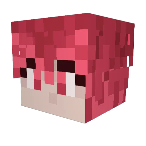Universal_Love Minecraft avatar head, 3D render