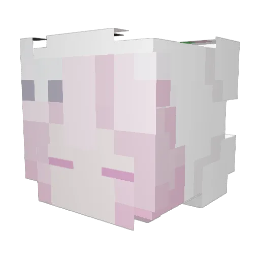 UniverseH0pper Minecraft avatar head, 3D render