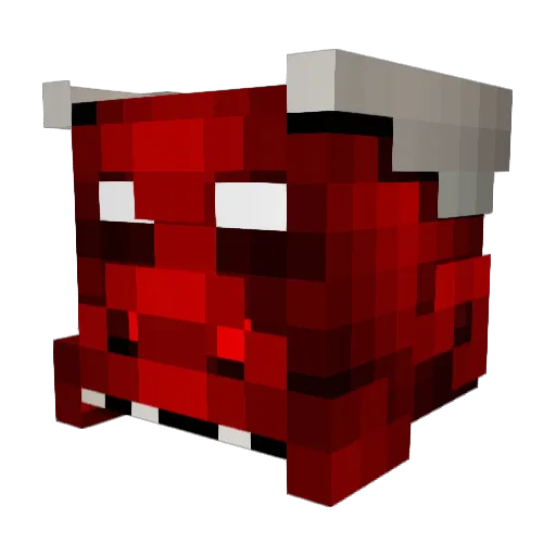 Universe_Miner Minecraft avatar head, 3D render