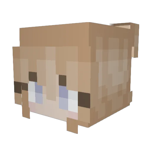 Uniwolf9087 Minecraft avatar head, 3D render