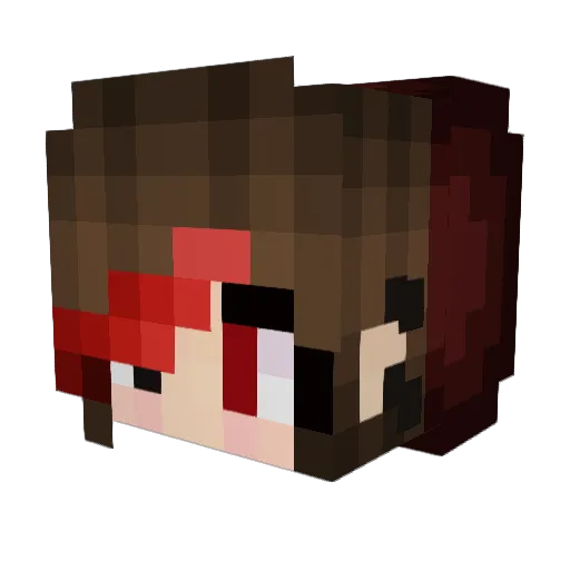 UnkeptLlama Minecraft avatar head, 3D render