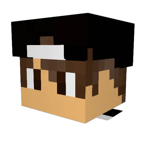 Unkn0wn314 Minecraft avatar head, 3D render