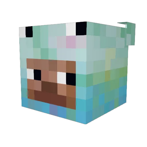 Unkn0wnSkill Minecraft avatar head, 3D render