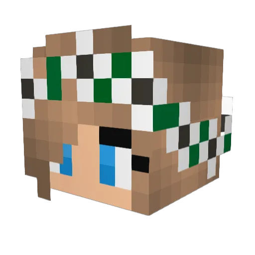 Unknow_Reaper22 Minecraft avatar head, 3D render
