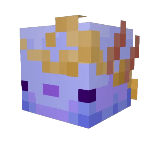 Unknowcat Minecraft avatar head, 3D render