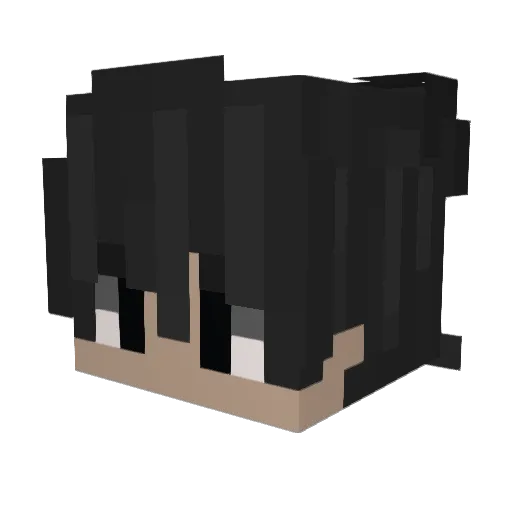 Unknown1325 Minecraft avatar head, 3D render