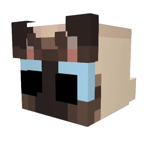Unknown3451 Minecraft avatar head, 3D render