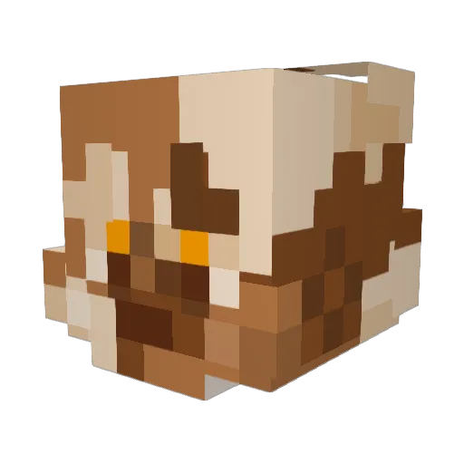 UnknownAliias Minecraft avatar head, 3D render