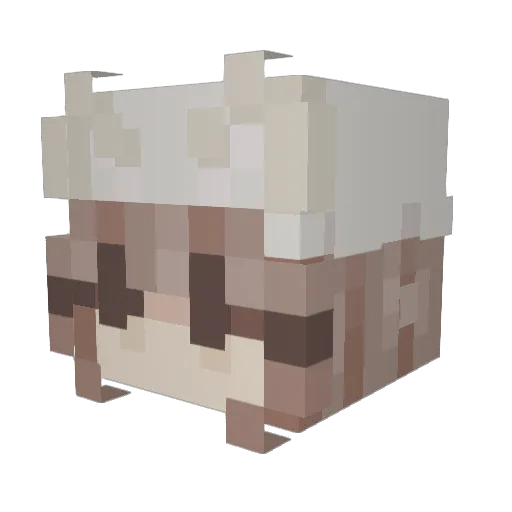 UnknownArcticYT Minecraft avatar head, 3D render