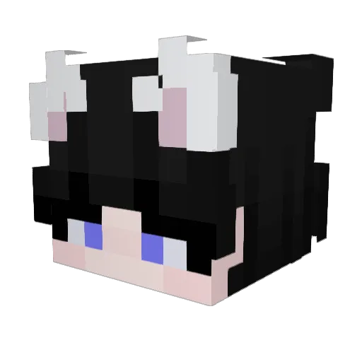 UnknownDemon666 Minecraft avatar head, 3D render