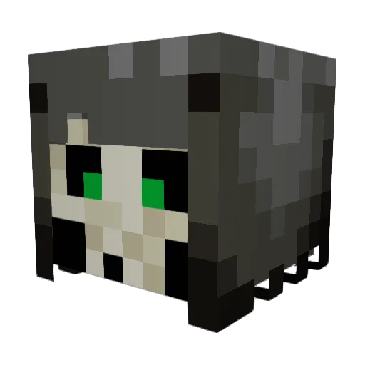 UnknownEnt1ty Minecraft avatar head, 3D render