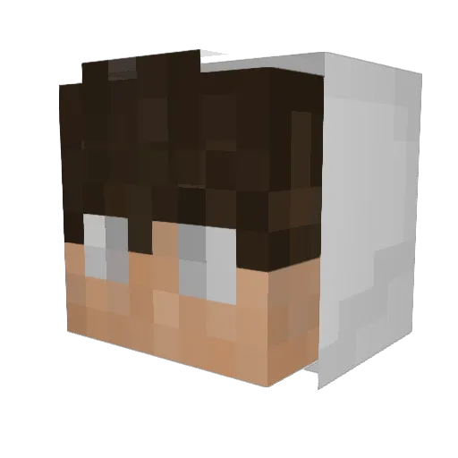 UnknownEntity0_o Minecraft avatar head, 3D render