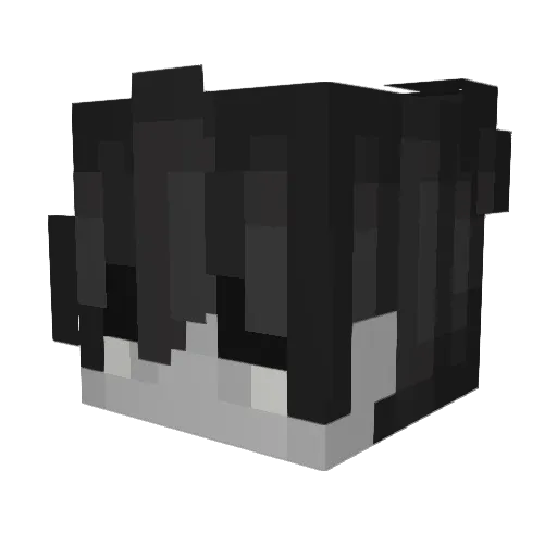 UnknownFoxy123 Minecraft avatar head, 3D render
