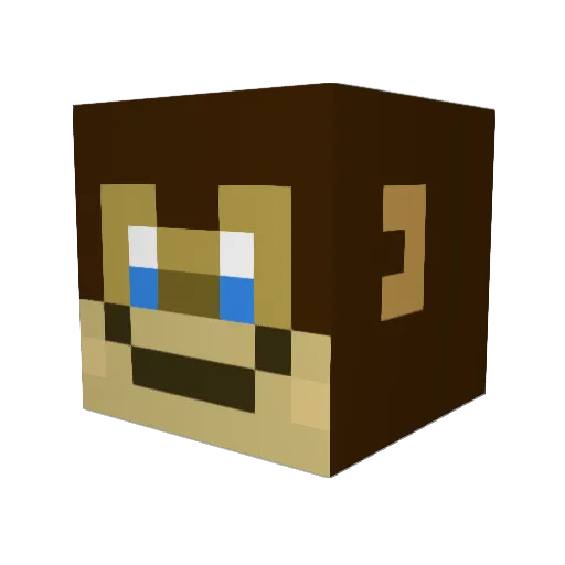 UnknownLoser52 Minecraft avatar head, 3D render