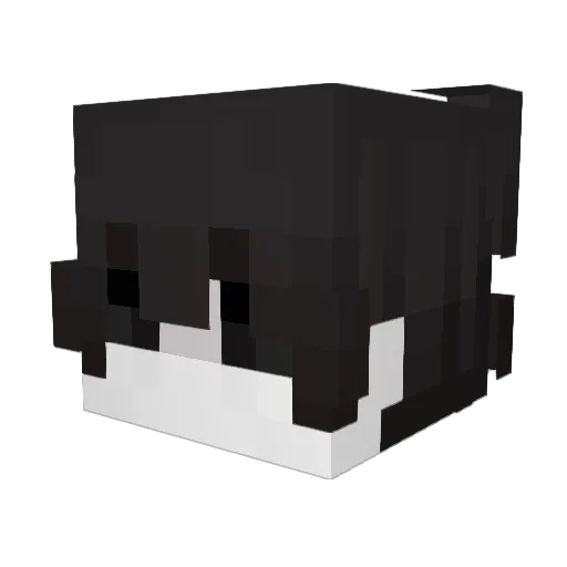 UnknownLuca Minecraft avatar head, 3D render