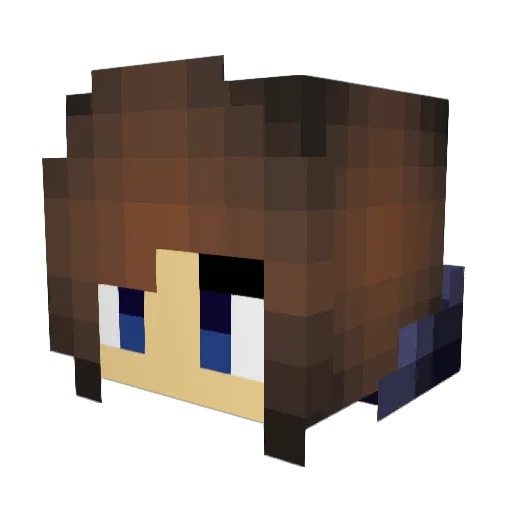 UnknownSamee Minecraft avatar head, 3D render