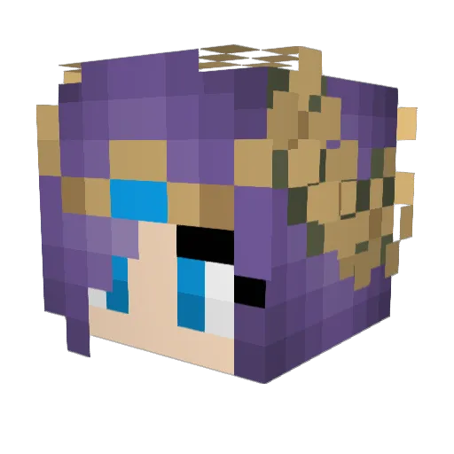 UnknownSerpent Minecraft avatar head, 3D render