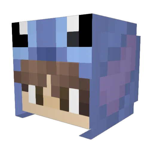Unknown_DEV0001 Minecraft avatar head, 3D render