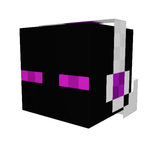 Unknown_Echo Minecraft avatar head, 3D render