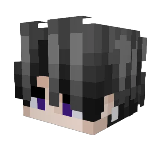 Unknown_Ninja Minecraft avatar head, 3D render