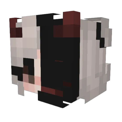 Unknown_PvP Minecraft avatar head, 3D render