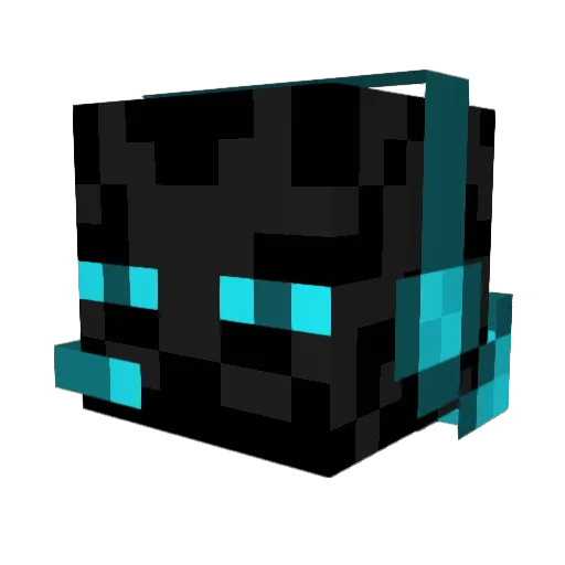 Unknown_Skull360 Minecraft avatar head, 3D render