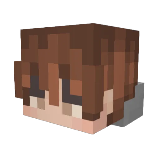 Unknown_Starz Minecraft avatar head, 3D render