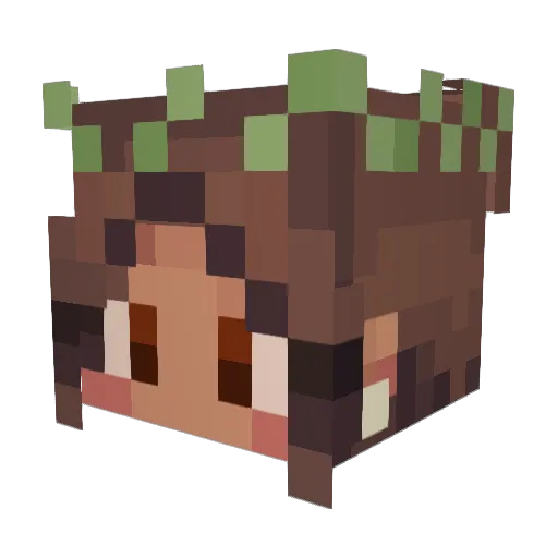 Unknownidentity0 Minecraft avatar head, 3D render