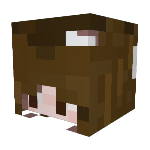 Unknownkatt Minecraft avatar head, 3D render