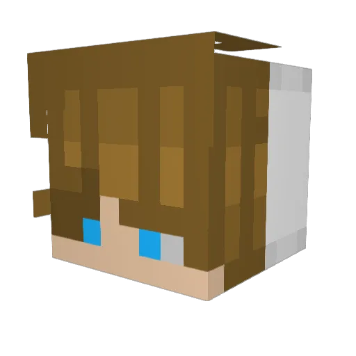 Unknownuser9257 Minecraft avatar head, 3D render