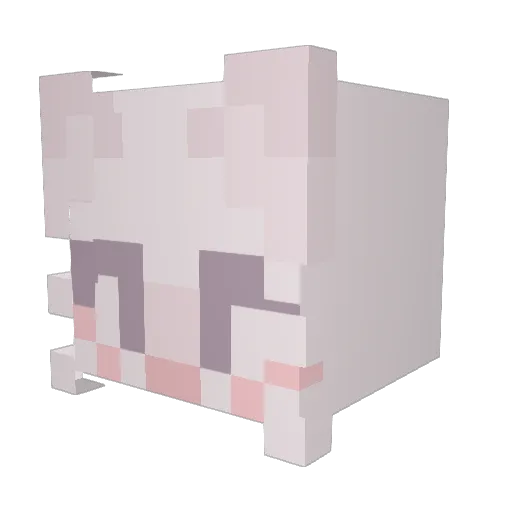 UnknownxArsenal Minecraft avatar head, 3D render