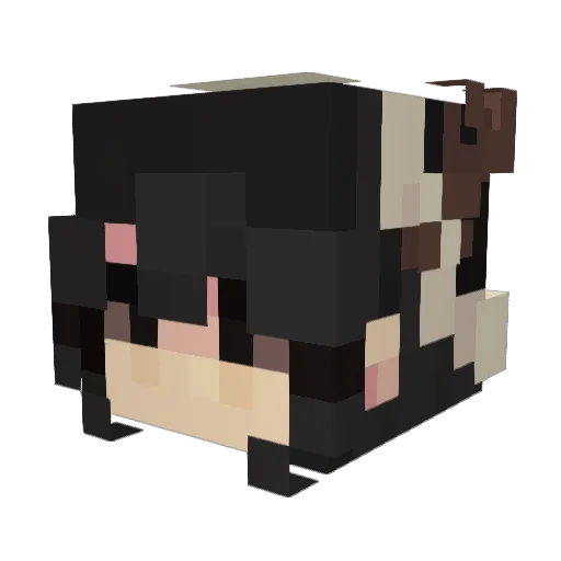 Unkonoir Minecraft avatar head, 3D render